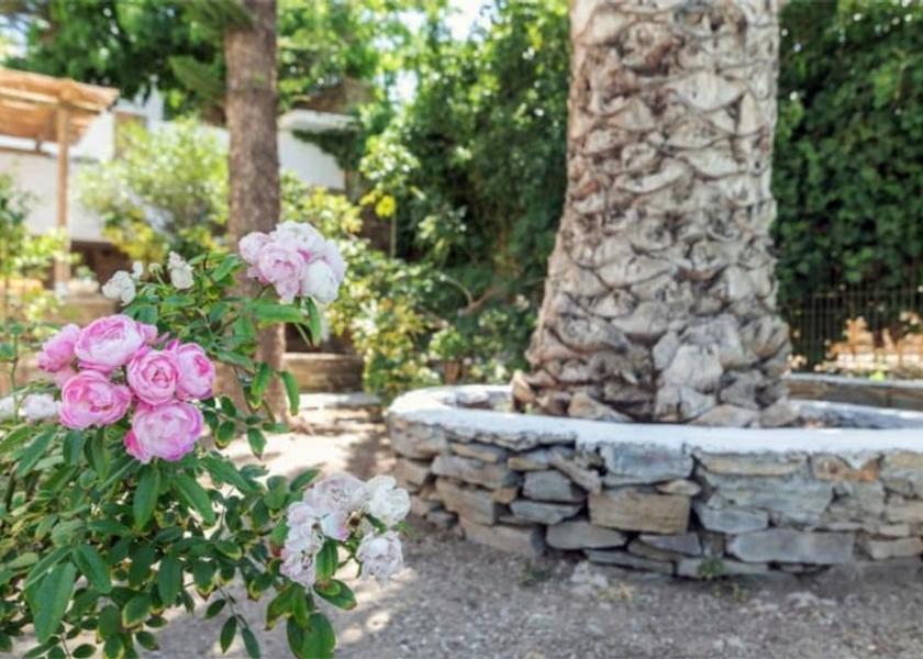  Tinos Property Grounds