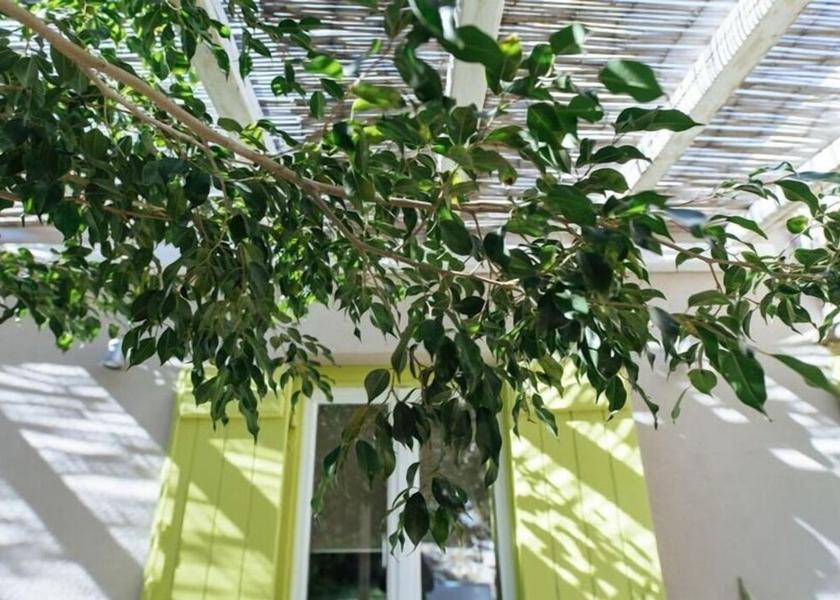  Tinos Exterior Detail