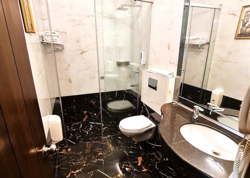 Delhi Delhi Executive Room