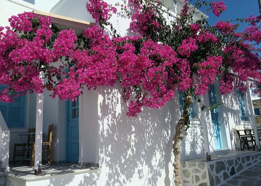 South Aegean Antiparos Property Grounds