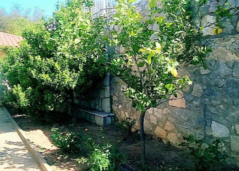 Peloponnese Kalamata Property Grounds