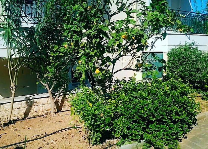 Peloponnese Kalamata Property Grounds