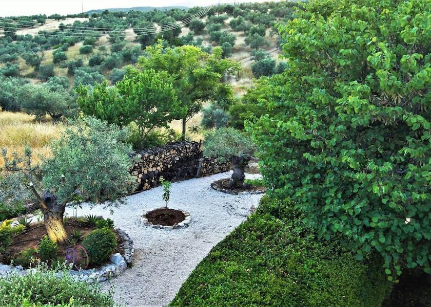 Peloponnese Epidaurus Property Grounds