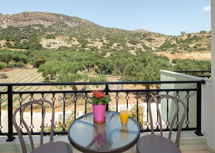 Crete Viannos Land View from Property