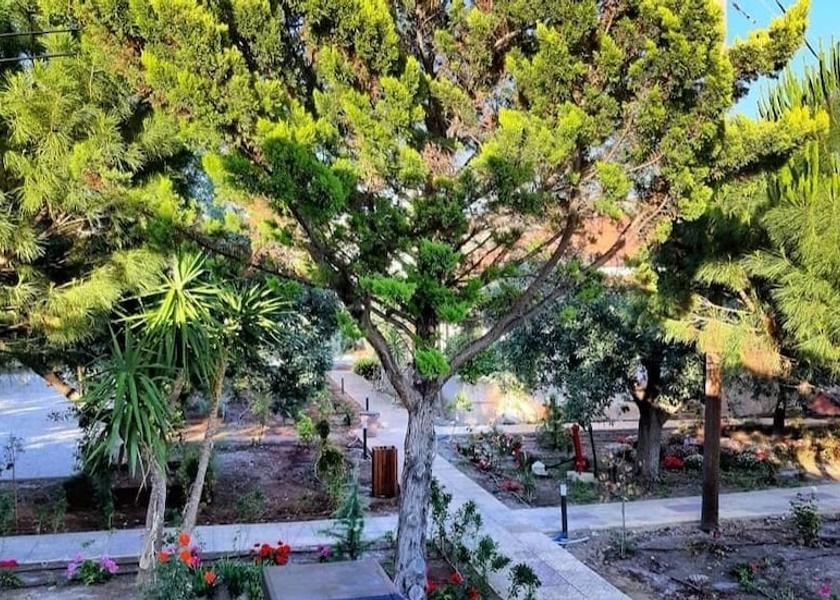 Peloponnese Region North Kynouria Garden