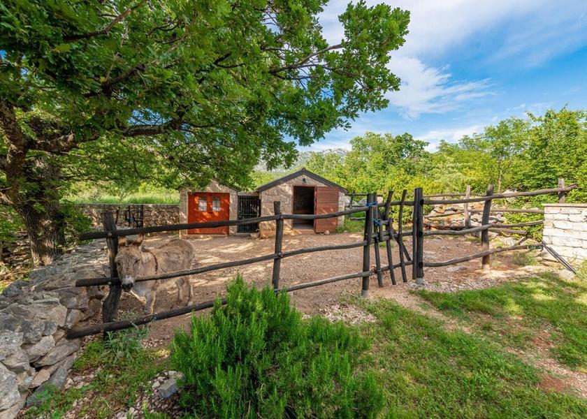 Zadar-Northern Dalmatia Starigrad Room