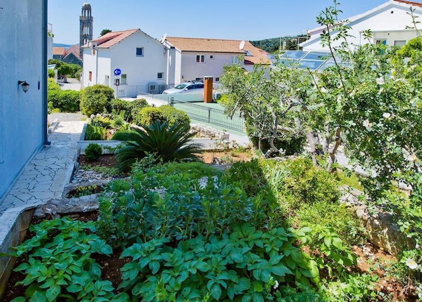 Split-Dalmatia Hvar Property Grounds