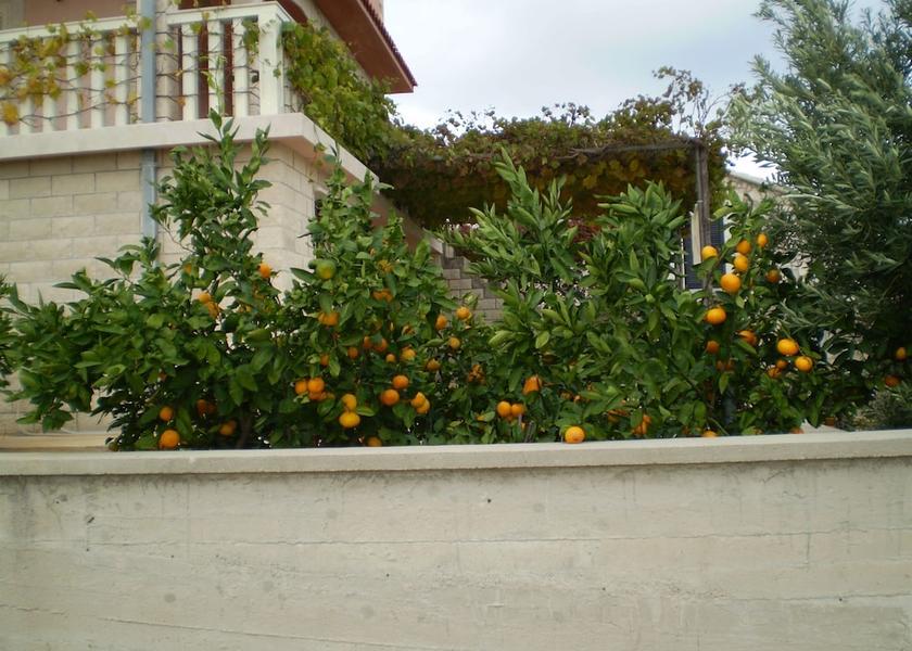 Split-Dalmatia Vis Courtyard