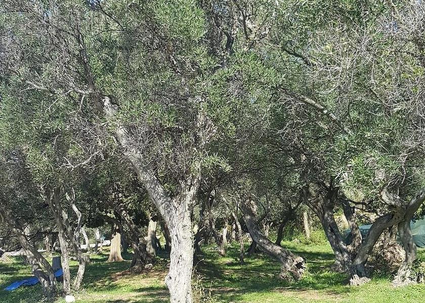 Primorje-Gorski Cres Property Grounds