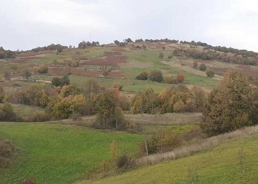 Karlovac Rakovica View from Property