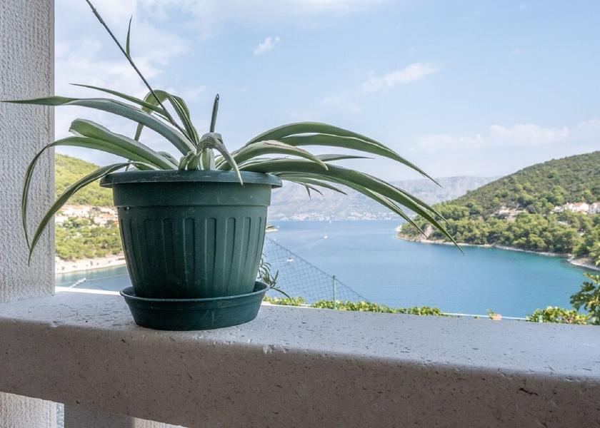 Split-Dalmatia Pucisca View from Property