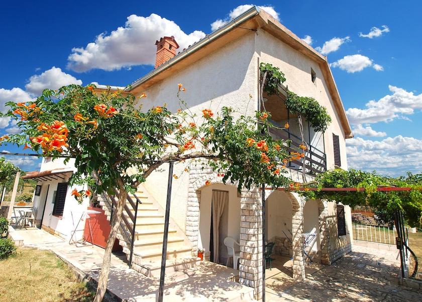 Istria (county) Marcana Primary image