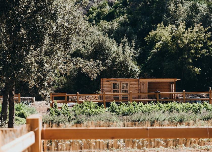 Split-Dalmatia Stari Grad Garden