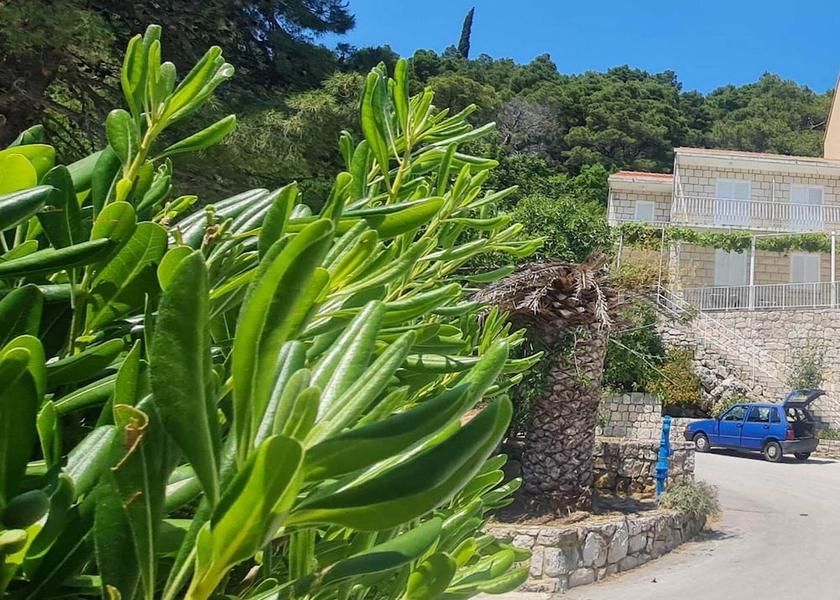 Dubrovnik - Southern Dalmatia Mljet Exterior Detail