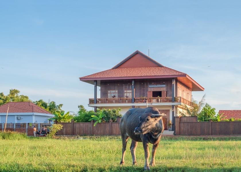 Siem Reap Siem Reap Primary image