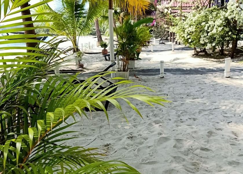 Preah Sihanouk Koh Rong Sanloem Garden