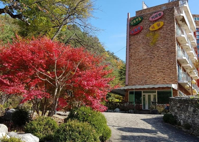 Gangwon Yangyang Exterior Detail