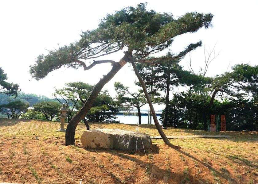 Gyeonggi Anseong Property Grounds