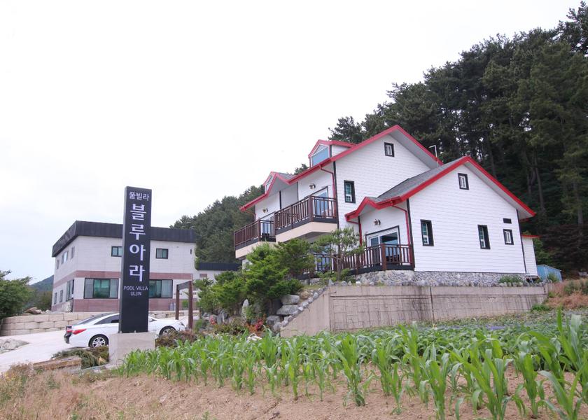 North Gyeongsang Uljin 