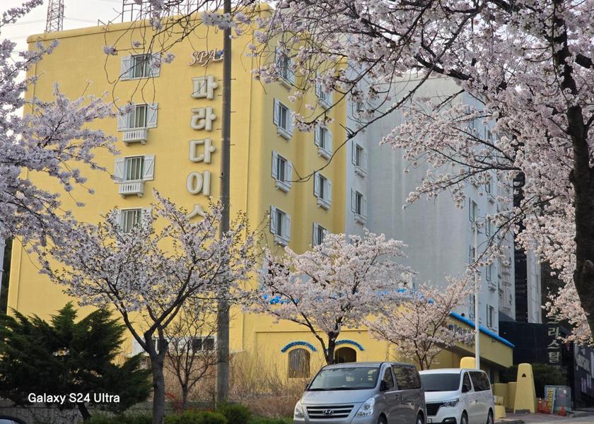 South Chungcheong Asan 