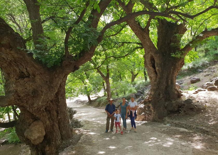  Asni Exterior Detail