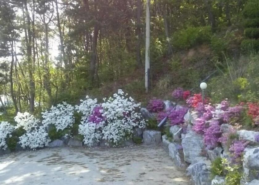  Incheon Exterior Detail