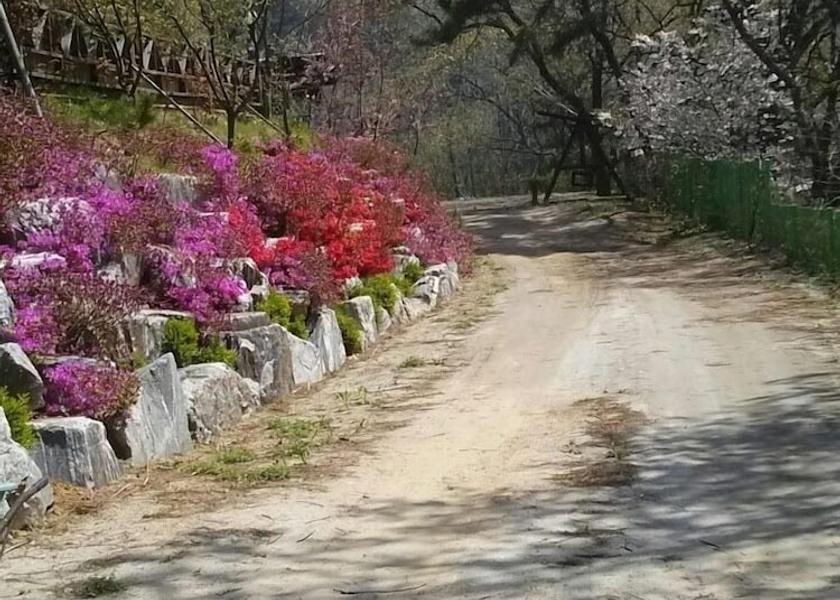  Incheon Exterior Detail