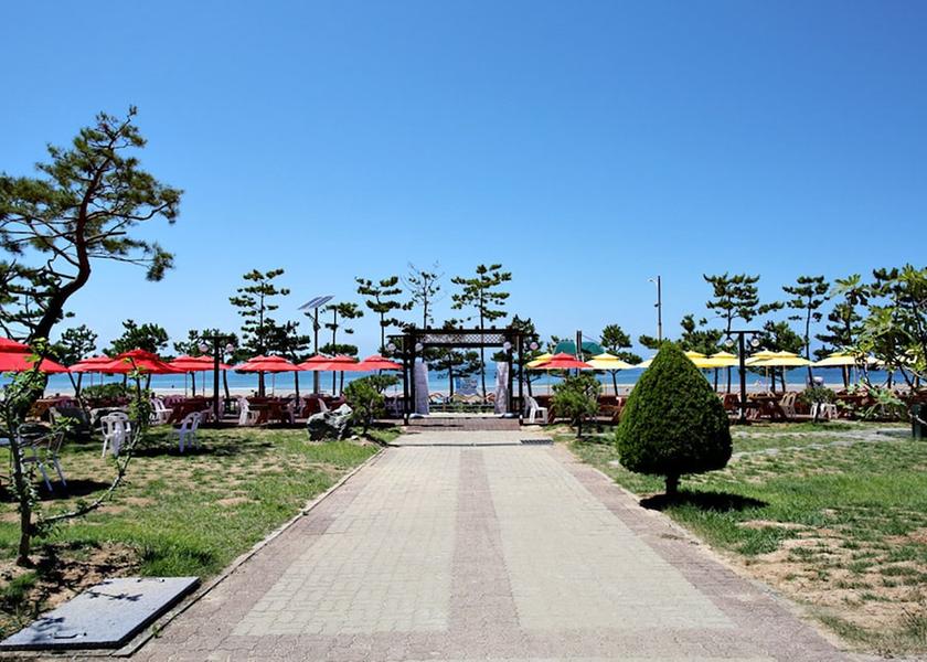 South Chungcheong Taean Terrace