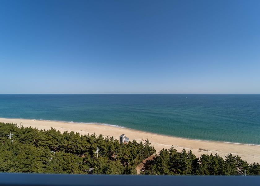 Gangwon Gangneung View from room