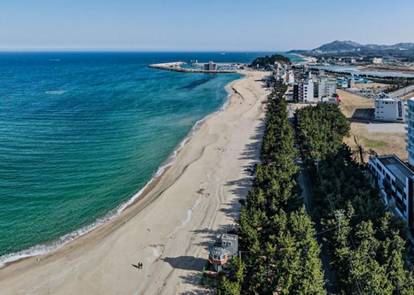Gangwon Gangneung View from property