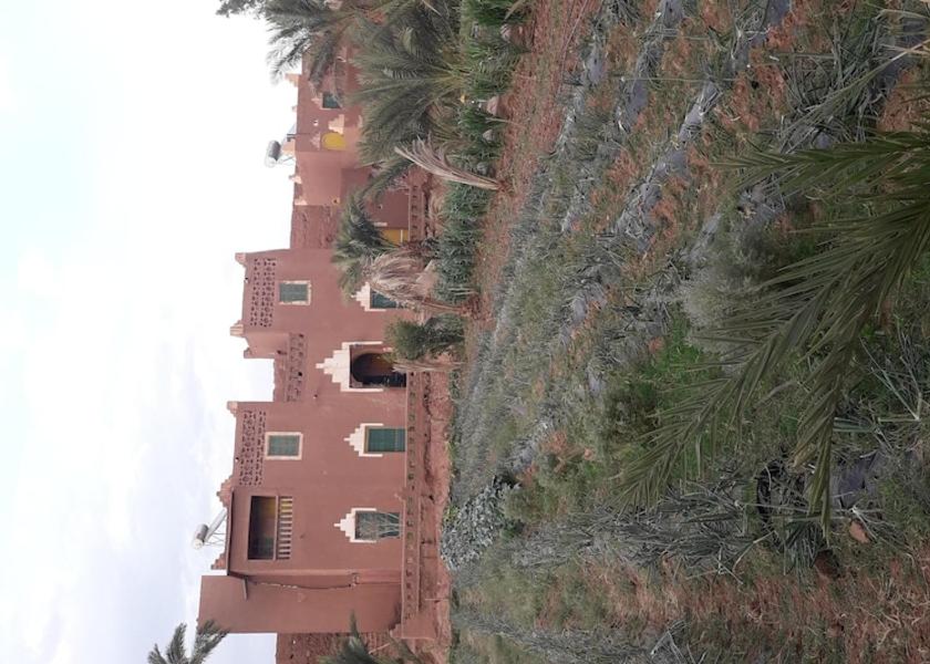 Drâa-Tafilalet Tamegroute Primary image