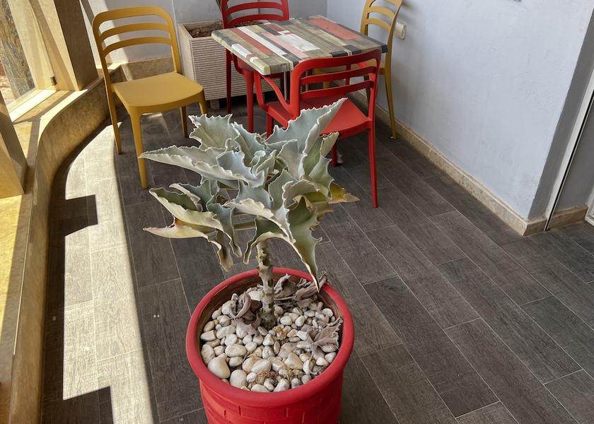  Agadir Terrace