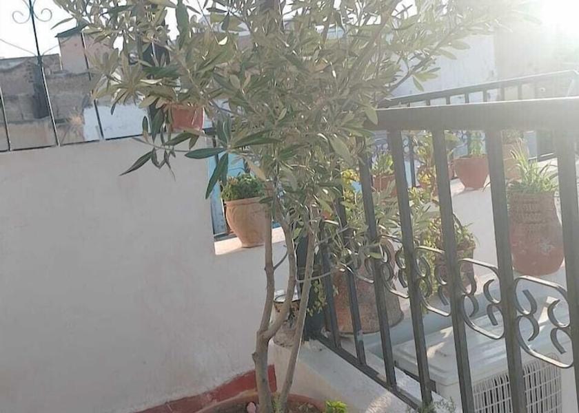 Fès-Meknès Fes Terrace