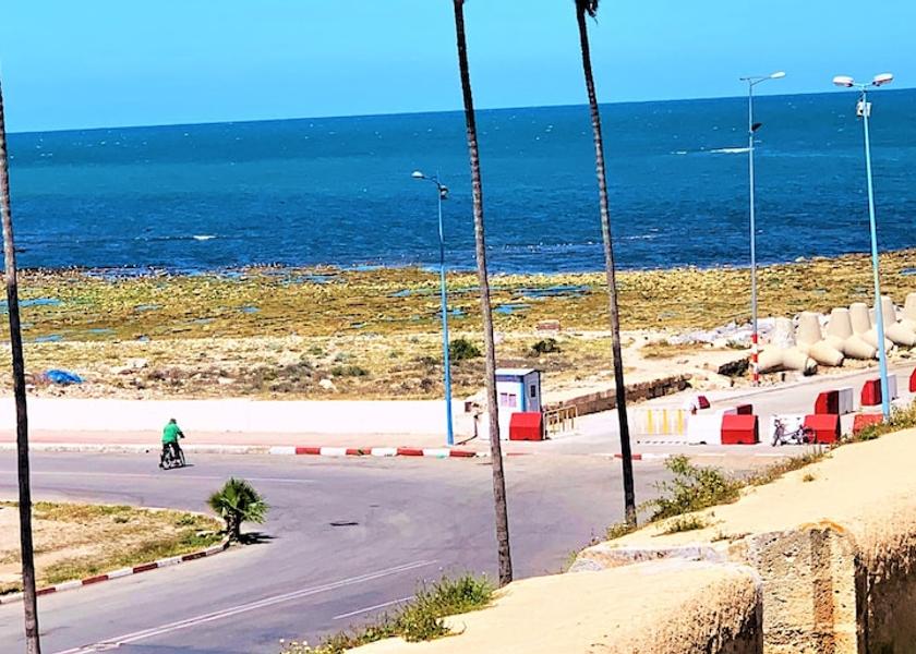 Casablanca-Settat El Jadida View from Property