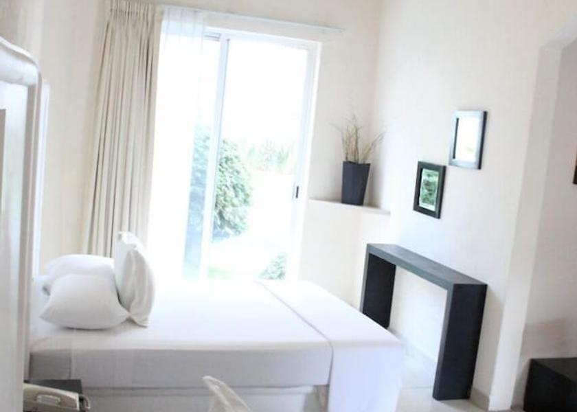 Morelos Cuernavaca Room