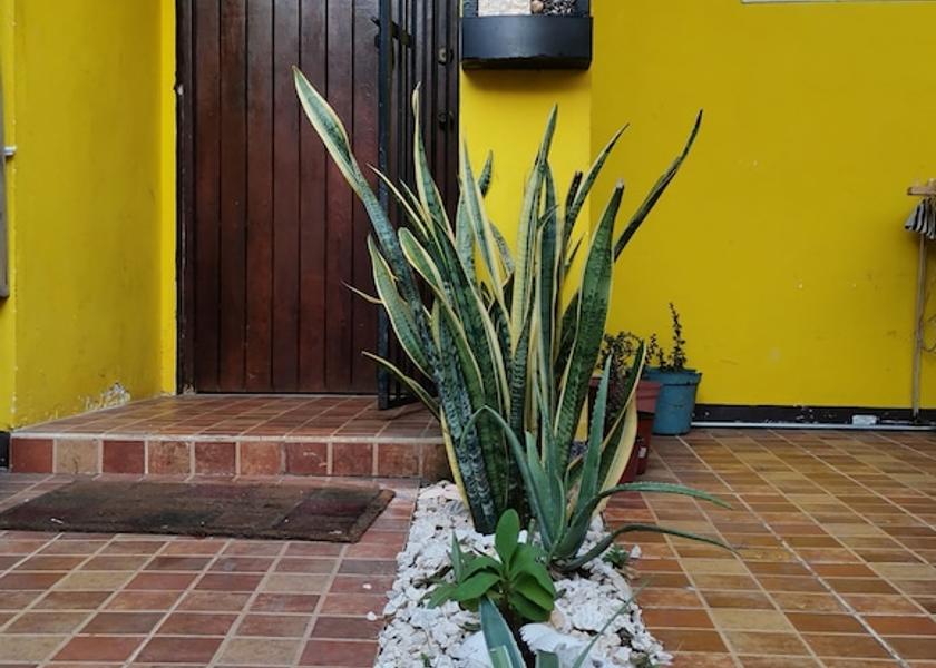 Quintana Roo Cancun Entrance