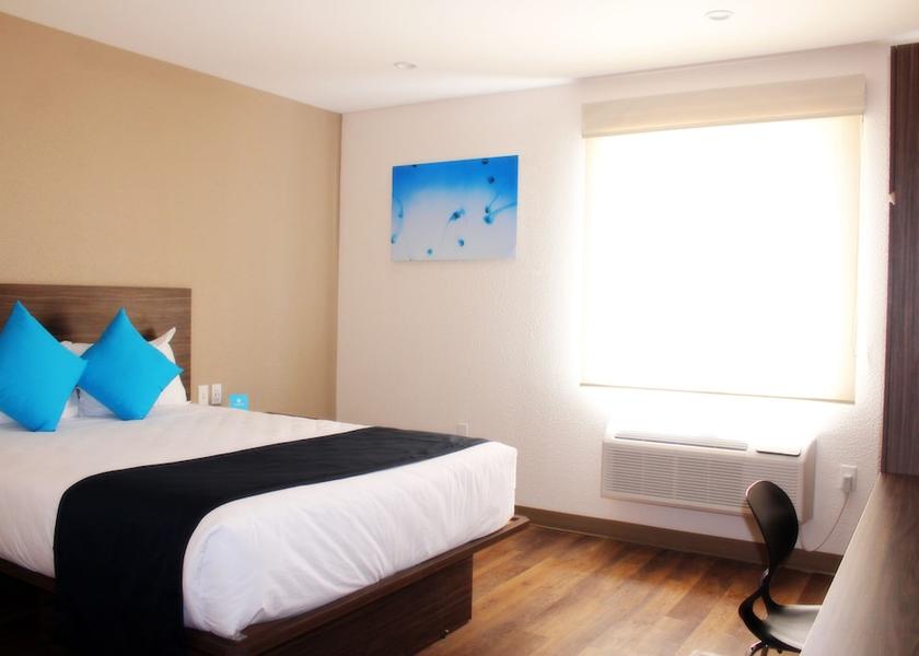 Veracruz Coatzacoalcos Room