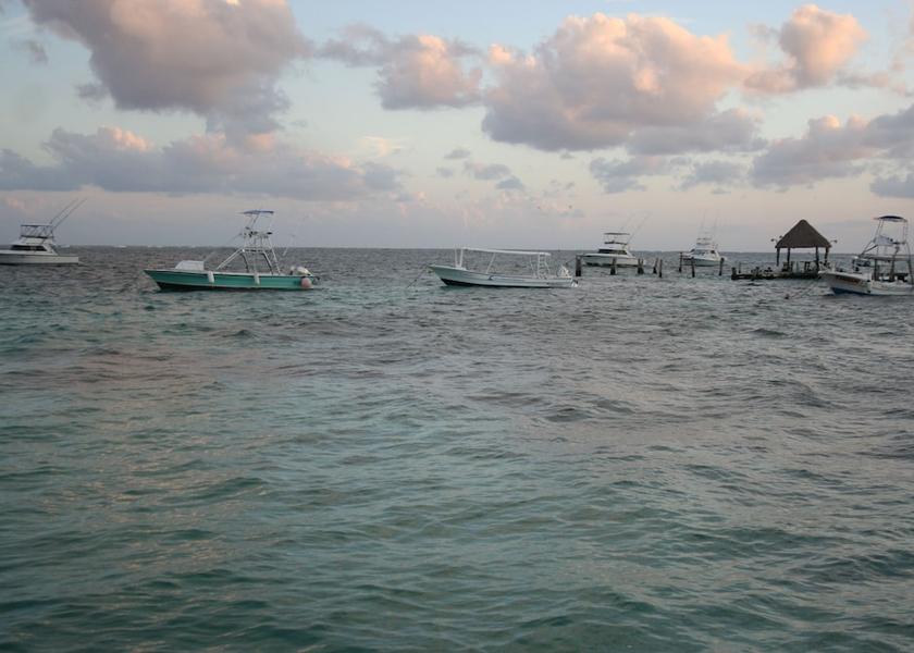 Quintana Roo Puerto Morelos Beach