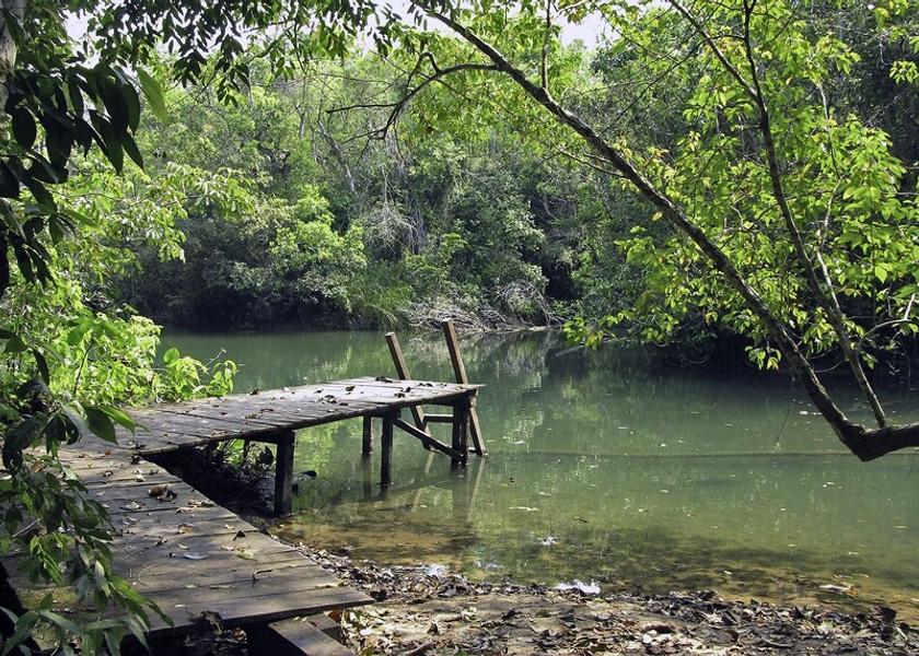 Chiapas Ocosingo Dock