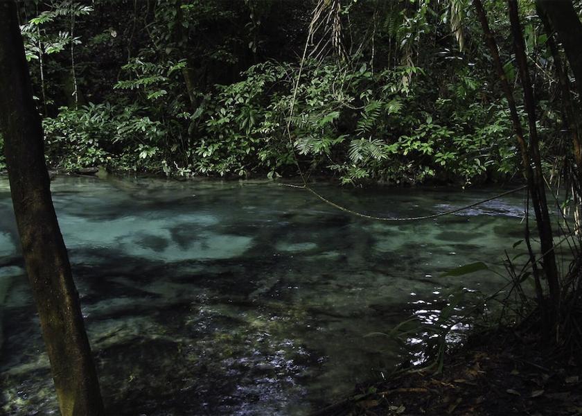 Chiapas Ocosingo Lake