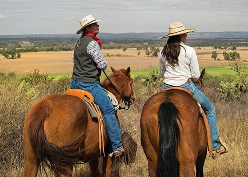 State of Mexico Valle de Bravo Horse Riding