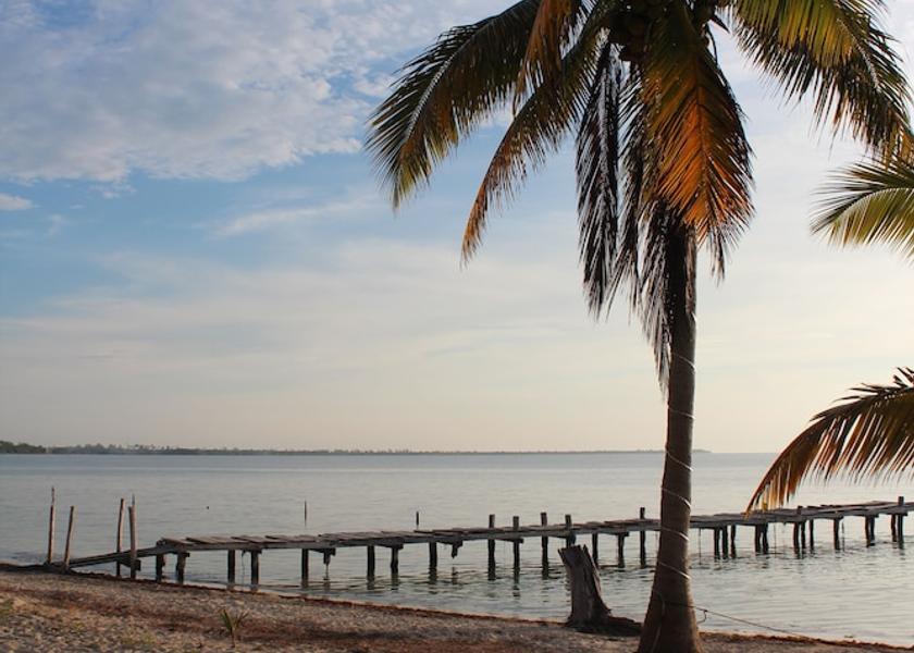 Quintana Roo Punta Allen Beach