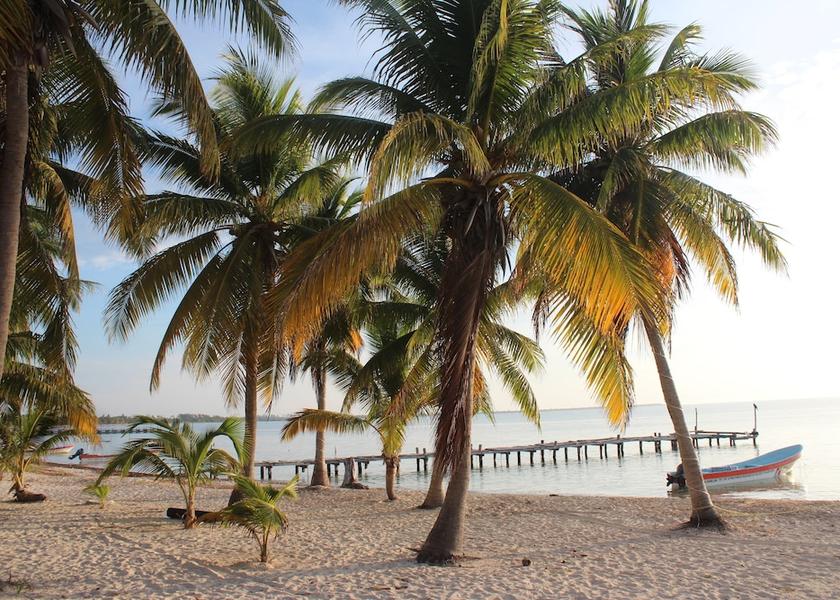 Quintana Roo Punta Allen Beach