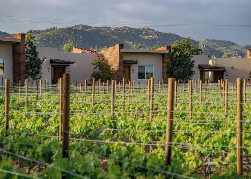 Baja California Valle de Guadalupe Exterior Detail