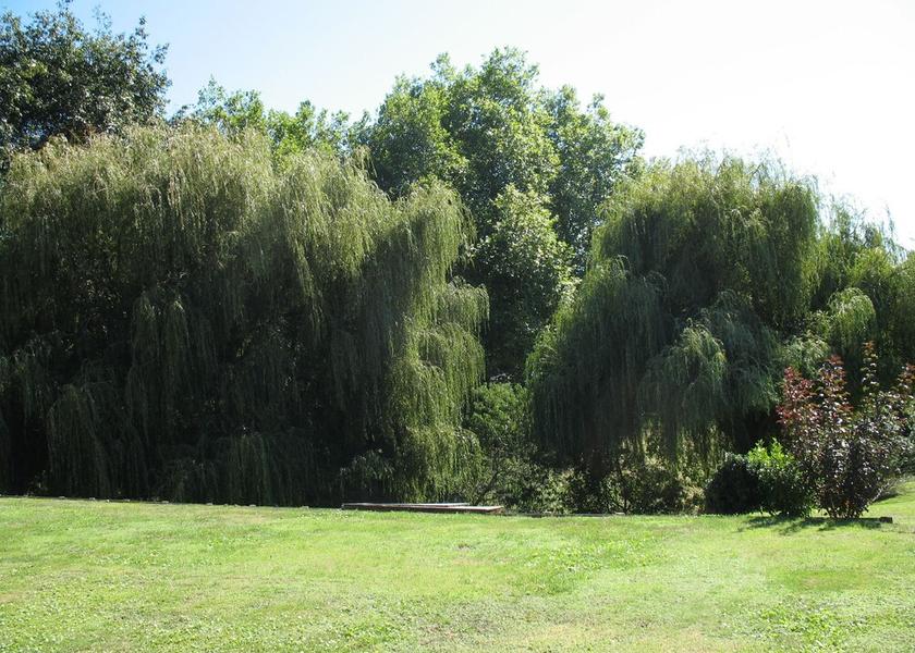Waikato Karapiro Property Grounds