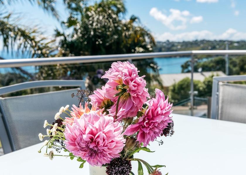 Auckland Region Waiheke Island Terrace