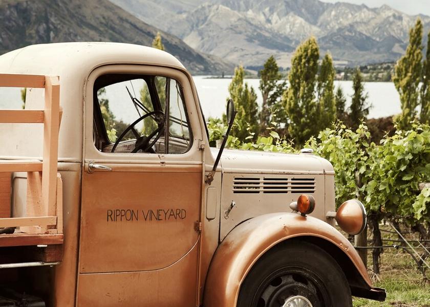 Otago Wānaka Winery