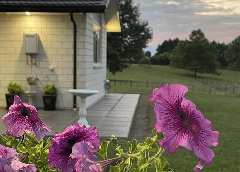 Auckland Region Tuakau Exterior Detail