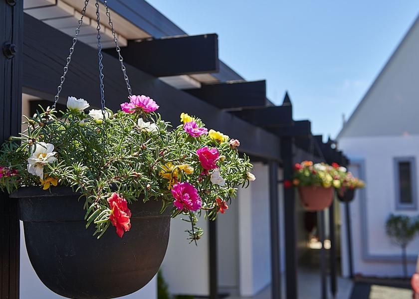 Waikato Thames Exterior Detail