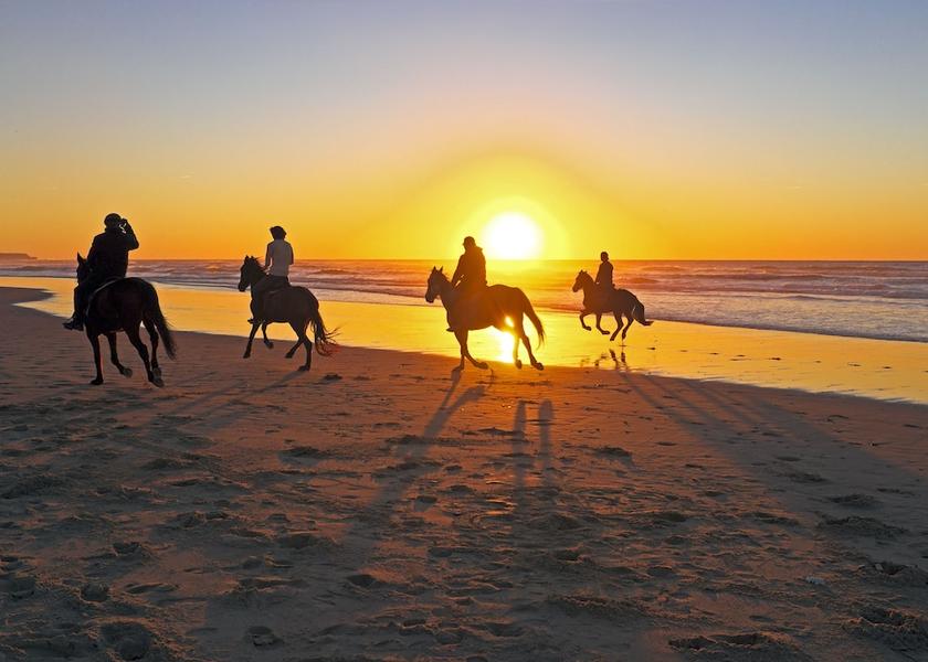 Caraga General Luna Horse Riding